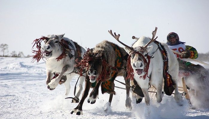 Khanty's Traditional Celebration